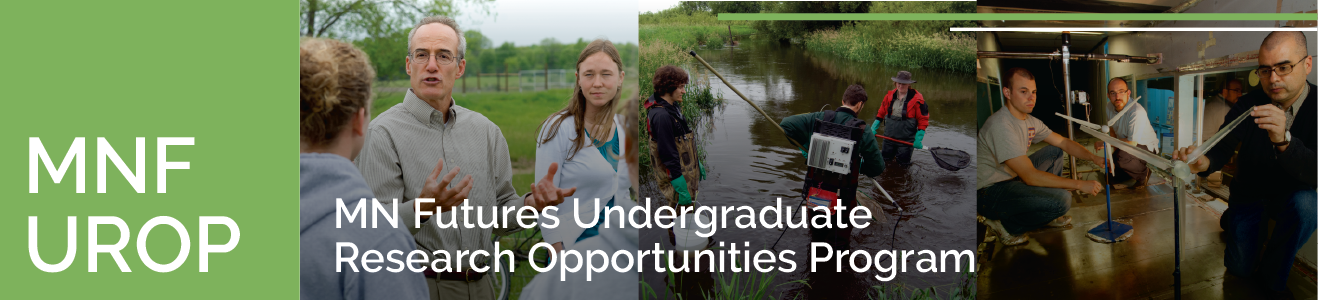 TEXT: MN Futures Undergraduate  Research Opportunities Program. IMAGE: photos of students doing research in the field.